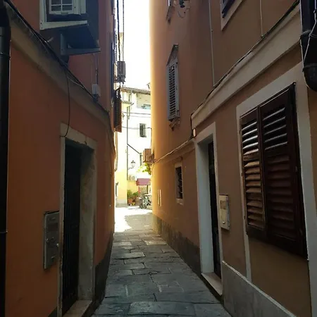 Apartma 1 And 2 Appartments ピラン