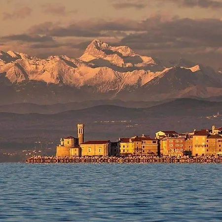 Apartma 1 And 2 Appartments アパート ピラン