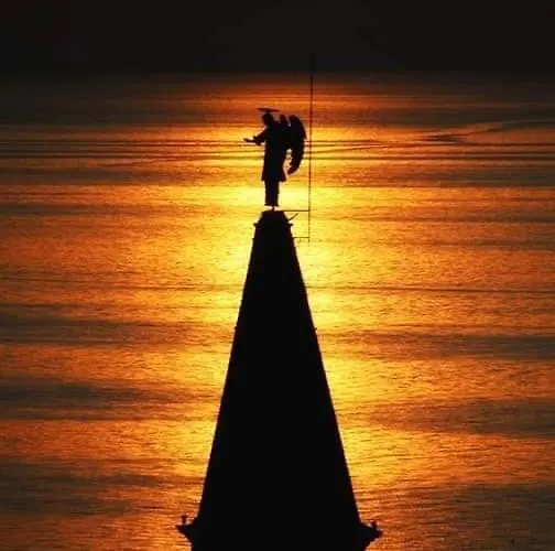 Apartma 1 And 2 Appartments Apartament Piran