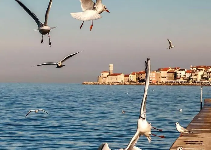 Apartament Apartma 1 And 2 Appartments *